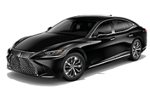 LS HYBRID