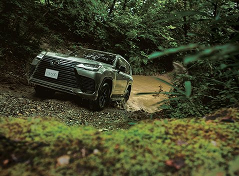LX