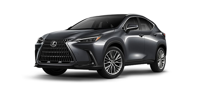 NX HYBRID | 