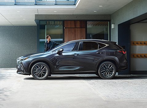 NX HYBRID