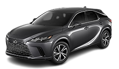 RX HYBRID