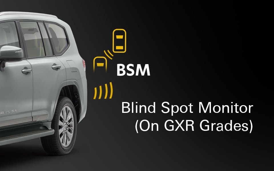 Blind Spot Monitor